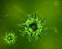 generic germ microscopic image